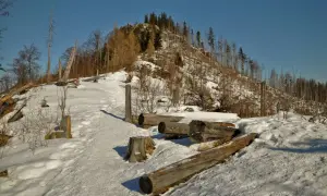 Śnieg pokrywa zbocze góry, na której widać powalone pnie drzew. Na szczycie, wśród drzew, majaczy sylwetka człowieka. To **Nosal Góra Samobójców**.