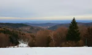 Zimowy krajobraz Beskidu Małego. Śnieżna polana, lasy i odległe wzgórza tworzą malowniczą trasę na Leskowcu.
