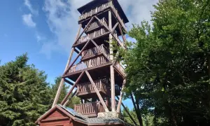 Drewniana wieża widokowa na Orlicy szczyt, otoczona zielenią drzew, zaprasza do podziwiania panoramy.