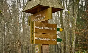 Drewniany drogowskaz w lesie wskazuje drogę do "SKALNE GRZYBY" i "NIKNĄCA ŁĄKA".