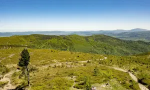 Malowniczy szlak na Baranią Górę, wijący się przez zielone wzgórza Beskidu Śląskiego.