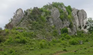 Skaliste zbocze porośnięte zielenią, z widoczną ścieżką. To miejsce idealne na wspinaczkę via ferrata Krucze Skały.