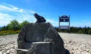 Żaba na skale podziwia skrzyczne widoki. Tablica informuje o wysokości 1257 m n.p.m.