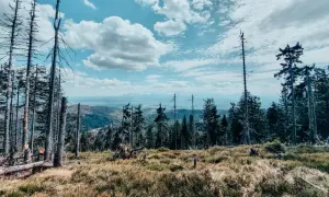 Widok z Turbacza z Koninek na Beskidy. Surowe piękno górskiego krajobrazu, niebo pełne chmur.