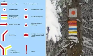 Kolory szlaków górskich na drzewie w zimowej scenerii. Znaki wskazują drogę, punkty widokowe i inne ważne miejsca.