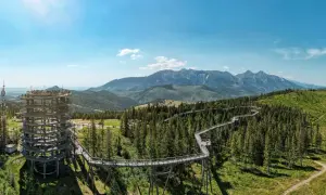 Widok na wieżę widokową i ścieżkę w koronach drzew. Spacer w koronach drzew Zakopane oferuje niezapomniane widoki na Tatry.