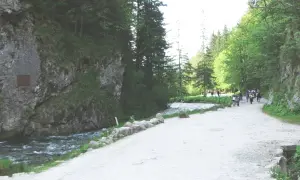 Ścieżka w górach, idealna na zakopane szczyty dla początkujących. Grupa turystów idzie wzdłuż potoku.