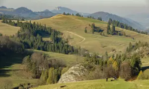 Wysokie Pieniny jesienią. Falujące zielone wzgórza, ścieżka wijąca się pośród drzew, a w oddali skaliste szczyty.