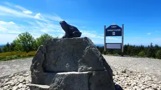 Żaba na skale przy znaku szczytowym Skrzyczne. Piękny dzień na górskie wędrówki.