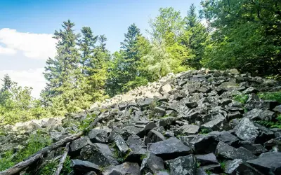 Kamieniste zbocze na górze Łysica, porośnięte drzewami.