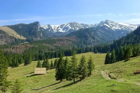 Łagodne zbocza, las i ośnieżone szczyty Tatr – idealne miejsce na pierwsze górskie wędrówki. Tatry dla początkujących oferują piękne widoki i łatwe szlaki.