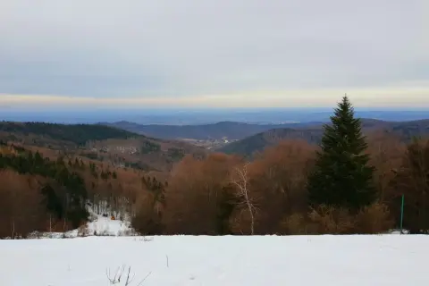 Zimowy krajobraz Beskidu Małego. Śnieżna polana, lasy i odległe wzgórza tworzą malowniczą trasę na Leskowcu.