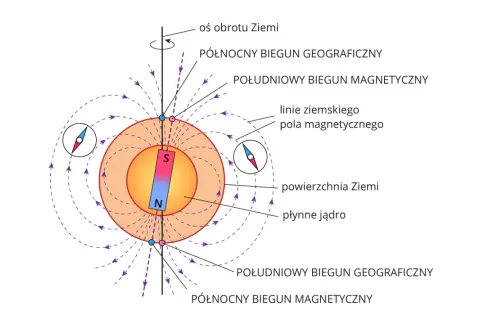 Ilustracja pokazuje, jak działa kompas: igła magnetyczna ustawia się wzdłuż linii pola magnetycznego Ziemi, wskazując biegun północny.