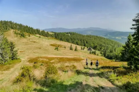 Grupa turystów wędruje ścieżką przez górzysty, zalesiony teren. W oddali widać chatę, jakby schronienie wielkiej rycerzowej.