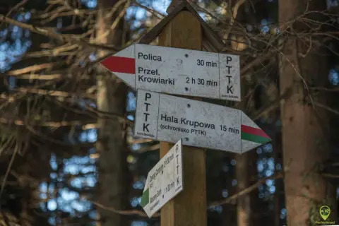 Drewniany słup z drogowskazami PTTK w lesie. Wskazuje polica szlaki do Przeł. Krowiarki (30 min) i Hali Krupowej (15 min).