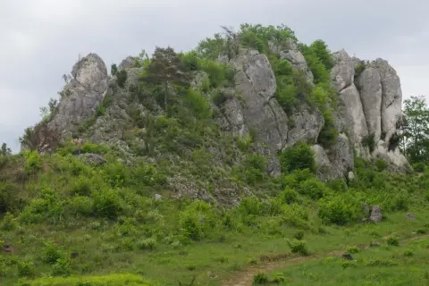 Skaliste zbocze porośnięte zielenią, z widoczną ścieżką. To miejsce idealne na wspinaczkę via ferrata Krucze Skały.