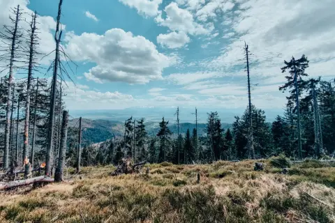 Widok z Turbacza z Koninek na Beskidy. Surowe piękno górskiego krajobrazu, niebo pełne chmur.