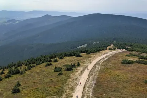 Szlak turystyczny na Śnieżnik Kłodzki. Grupa ludzi wędruje kamienistą ścieżką wśród traw i kosodrzewiny, na tle zalesionych gór.