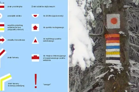Kolory szlaków górskich na drzewie w zimowej scenerii. Znaki wskazują drogę, punkty widokowe i inne ważne miejsca.