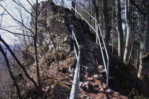 Kamienna ścieżka z poręczą w lesie, prowadząca po skalistym zboczu.