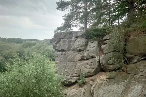 Skały przypominające głowę zwierzęcia na trasie w Ciężkowicach. W tle zielony las i zachmurzone niebo.