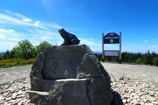 Żaba na skale przy znaku szczytowym Skrzyczne. Piękny dzień na górskie wędrówki.