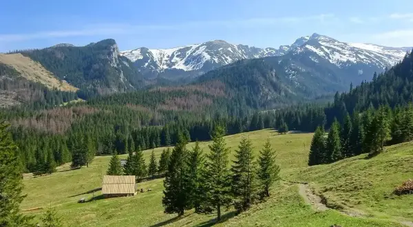 Łagodne zbocza, las i ośnieżone szczyty Tatr – idealne miejsce na pierwsze górskie wędrówki. Tatry dla początkujących oferują piękne widoki i łatwe szlaki.