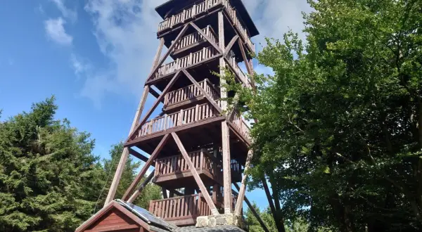 Drewniana wieża widokowa na Orlicy szczyt, otoczona zielenią drzew, zaprasza do podziwiania panoramy.