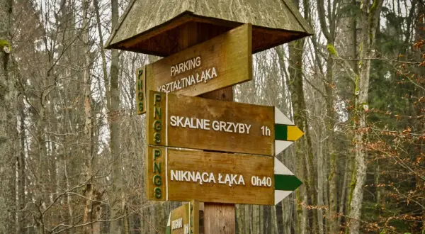 Drewniany drogowskaz w lesie wskazuje drogę do "SKALNE GRZYBY" i "NIKNĄCA ŁĄKA".