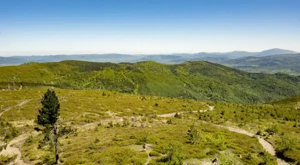 Malowniczy szlak na Baranią Górę, wijący się przez zielone wzgórza Beskidu Śląskiego.