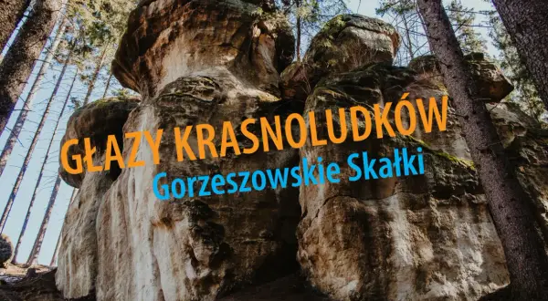 Potężne głazy krasnoludków w Gorzeszowskich Skałkach, otoczone lasem.