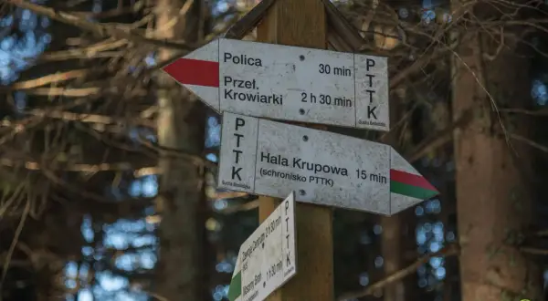 Drewniany słup z drogowskazami PTTK w lesie. Wskazuje polica szlaki do Przeł. Krowiarki (30 min) i Hali Krupowej (15 min).