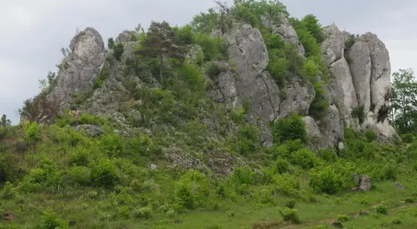 Skaliste zbocze porośnięte zielenią, z widoczną ścieżką. To miejsce idealne na wspinaczkę via ferrata Krucze Skały.