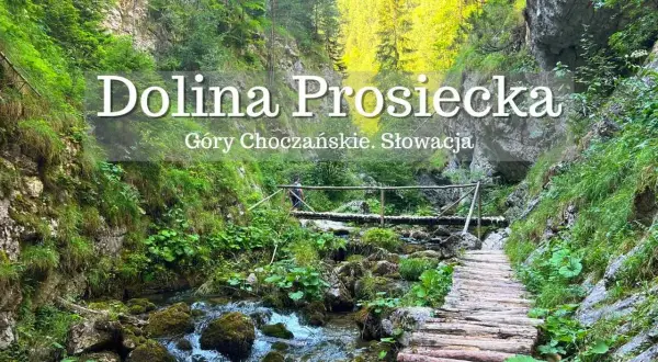 Malownicza Dolina Prosiecka w Górach Choczańskich, Słowacja. Drewniany chodnik wije się wzdłuż potoku, otoczony bujną zielenią i skalnymi ścianami.