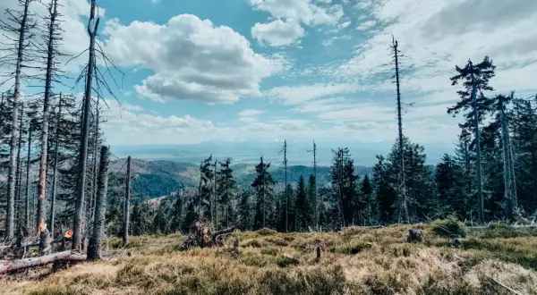 Widok z Turbacza z Koninek na Beskidy. Surowe piękno górskiego krajobrazu, niebo pełne chmur.
