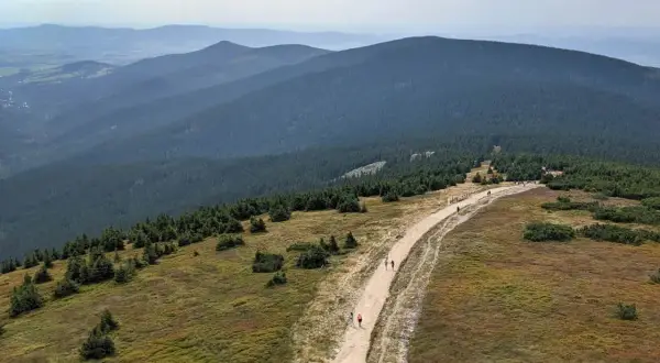 Szlak turystyczny na Śnieżnik Kłodzki. Grupa ludzi wędruje kamienistą ścieżką wśród traw i kosodrzewiny, na tle zalesionych gór.
