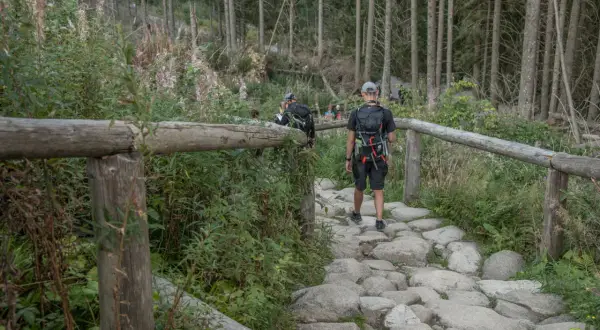 Kamienista ścieżka prowadzi przez las, a turyści idą w kierunku wejścia na Morskie Oko.