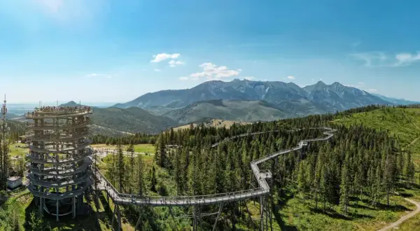 Widok na wieżę widokową i ścieżkę w koronach drzew. Spacer w koronach drzew Zakopane oferuje niezapomniane widoki na Tatry.
