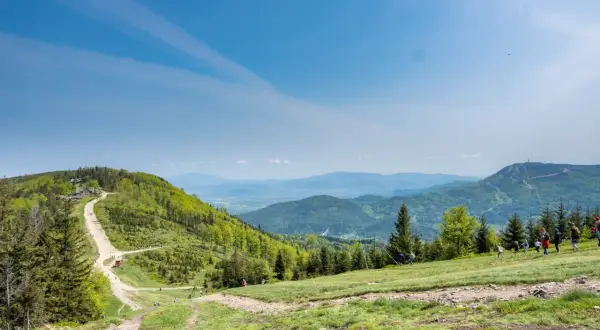 Widok na Beskid Śląski z trasą na Klimczok. W oddali widać szczyt z wieżą. Grupa turystów wędruje po zielonych zboczach.