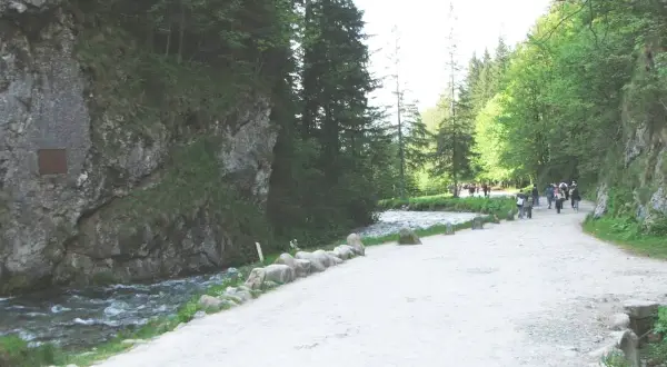 Ścieżka w górach, idealna na zakopane szczyty dla początkujących. Grupa turystów idzie wzdłuż potoku.
