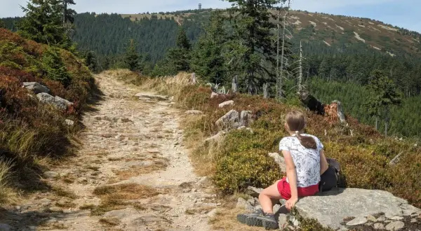 Dziewczynka odpoczywa na kamieniu przy kamienistej ścieżce. W oddali widać las i wieżę widokową. To piękna **śnieżnik trasa**.