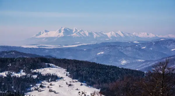 Zimowy krajobraz górski, pokryty śniegiem. W oddali widać pusta wielka, ośnieżona grań Tatr.