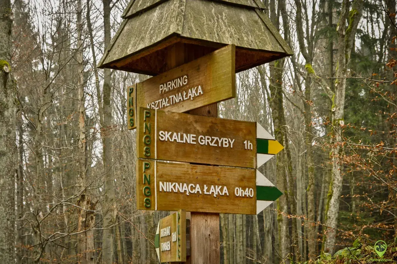 Drewniany drogowskaz w lesie wskazuje drogę do "SKALNE GRZYBY" i "NIKNĄCA ŁĄKA".