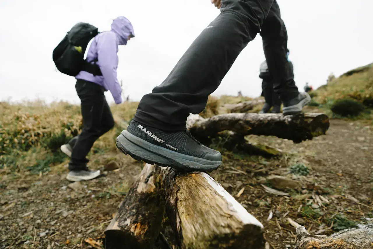 Wybór odpowiednich butów w góry latem to klucz do komfortu. Na zdjęciu widać turystów w lekkich, oddychających butach z membraną Gore-Tex, idealnych na letnie wędrówki.