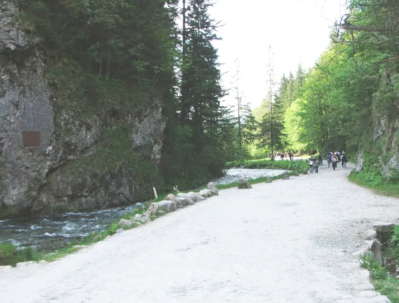 Ścieżka w górach, idealna na zakopane szczyty dla początkujących. Grupa turystów idzie wzdłuż potoku.