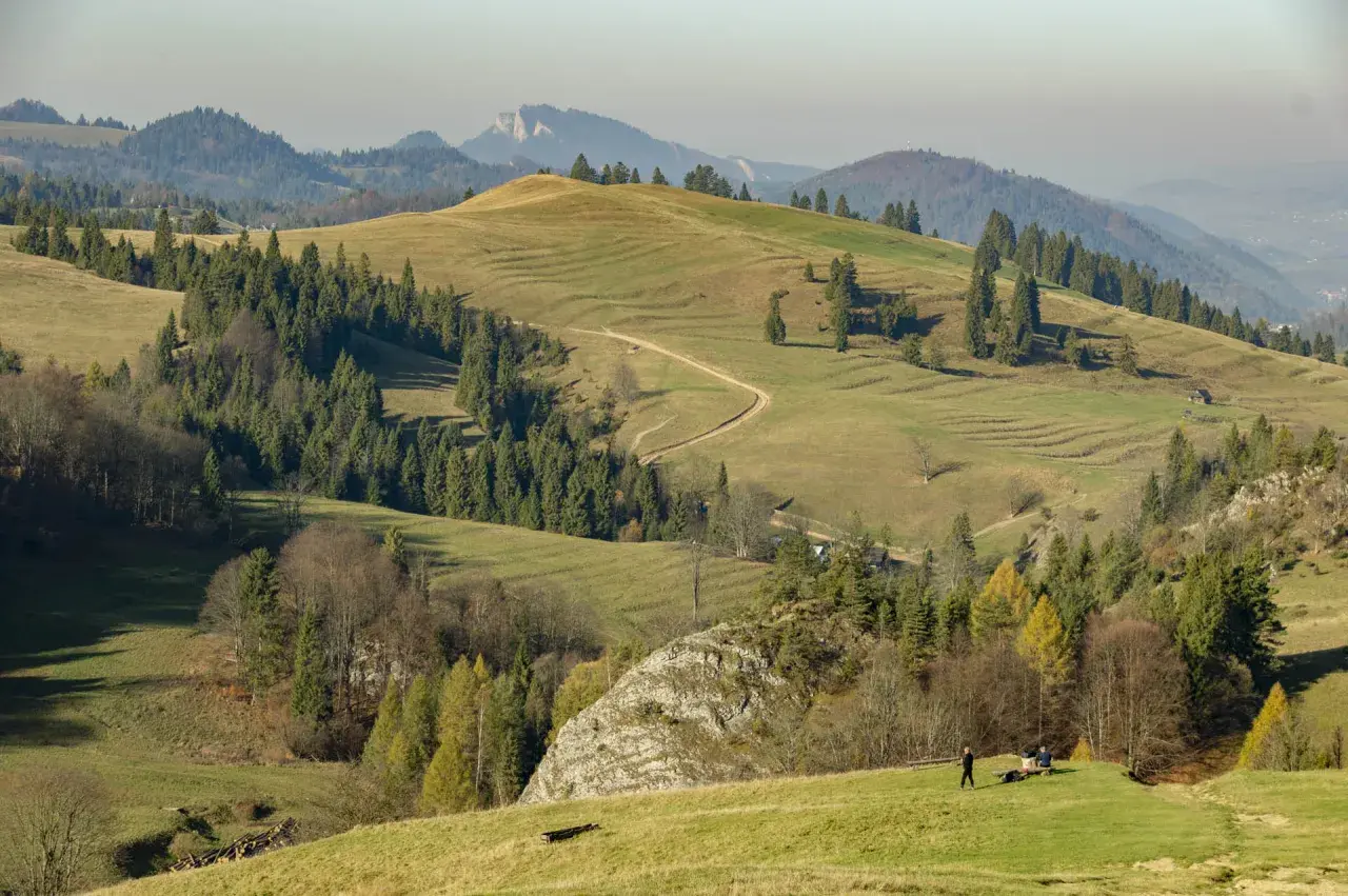 Wysokie Pieniny jesienią. Falujące zielone wzgórza, ścieżka wijąca się pośród drzew, a w oddali skaliste szczyty.