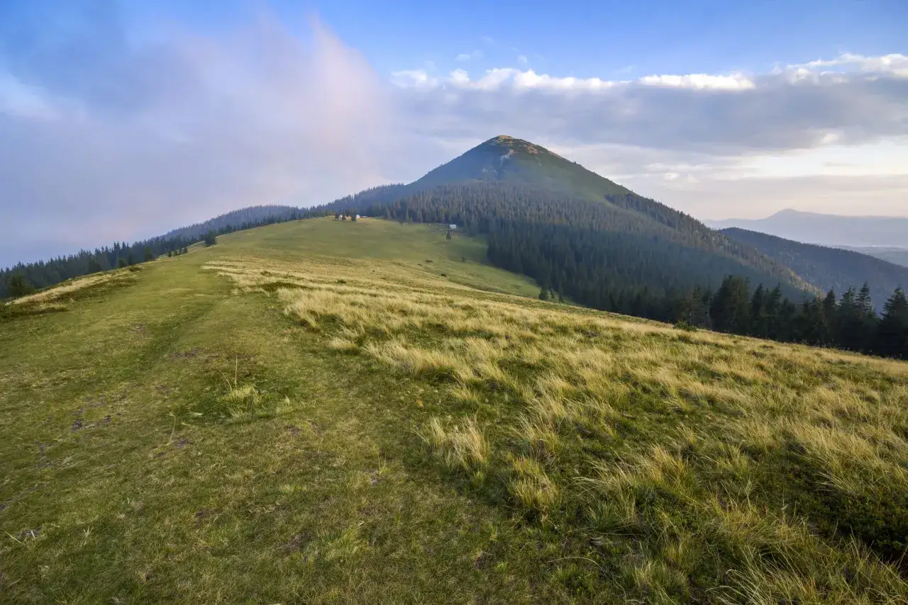 Widok na szczyt Turbacz, gdzie jest zielona hala i las. W oddali widać kolejne pasma g&oacute;rskie.