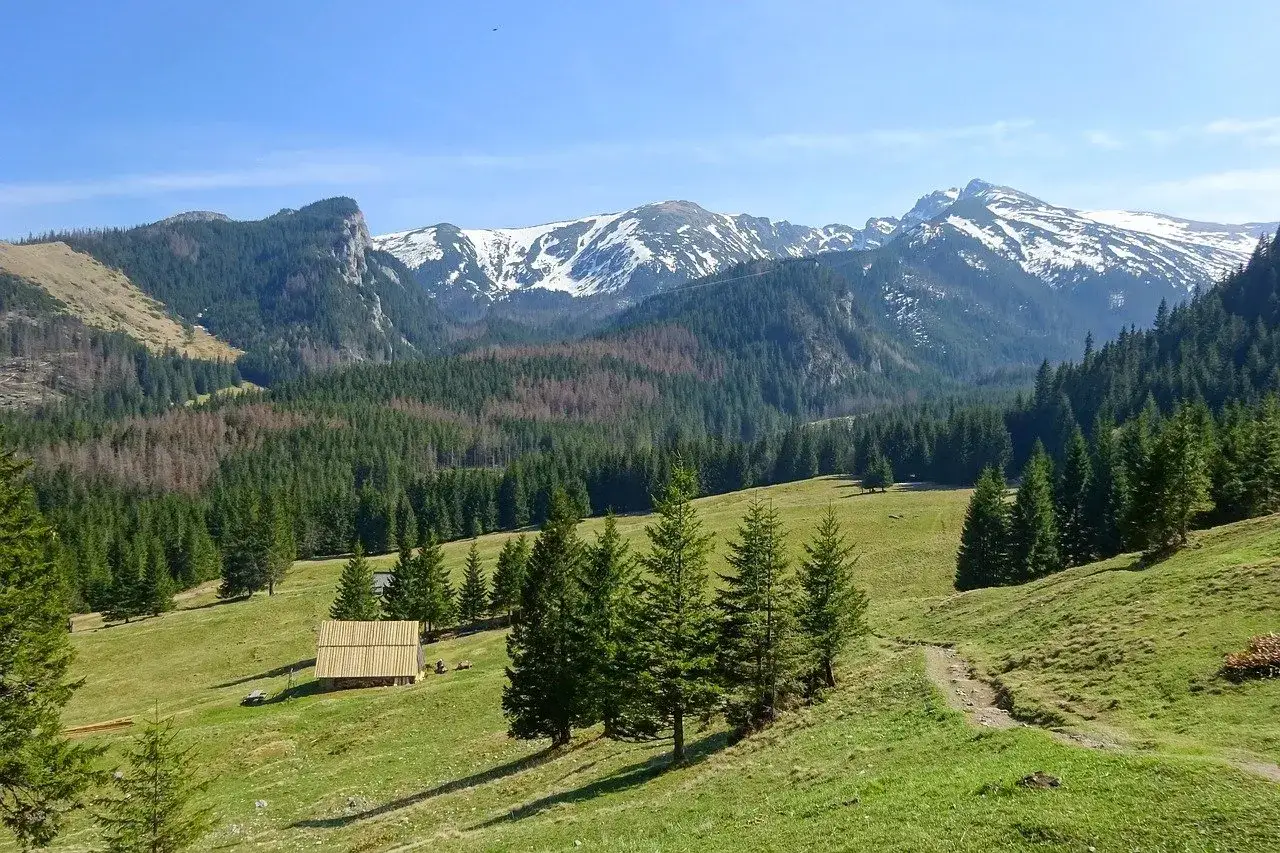 Łagodne zbocza i lasy, idealne na pierwsze górskie wędrówki. Widok na ośnieżone szczyty Tatr, idealne zakopane szczyty dla początkujących.