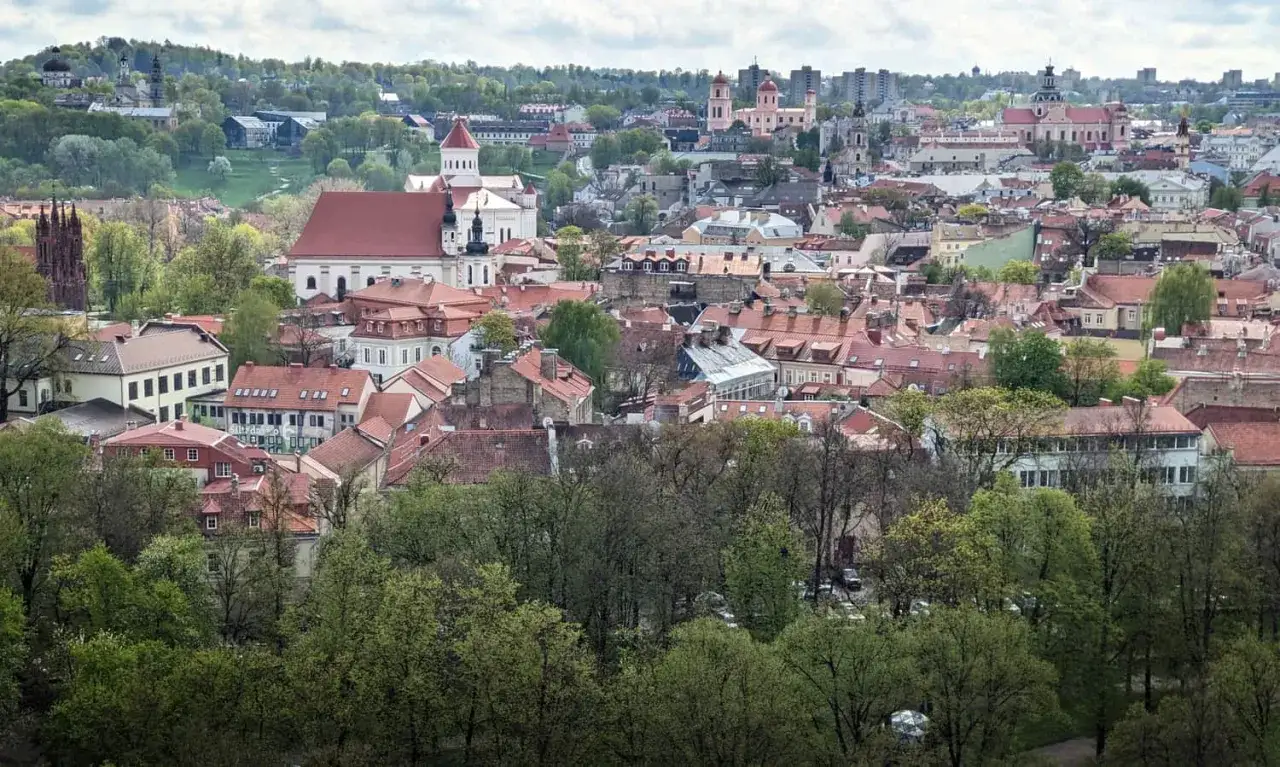 Widok na Wilno z zielonymi drzewami na pierwszym planie. W oddali widać dachy kamienic i kościołów, a w tle wzgórze Gedymina.