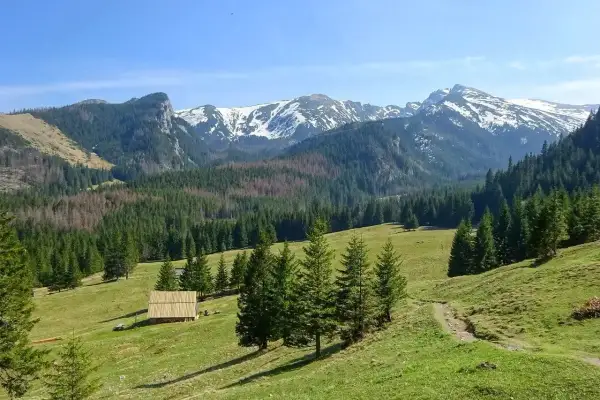 Łagodne zbocza, las i ośnieżone szczyty Tatr – idealne miejsce na pierwsze górskie wędrówki. Tatry dla początkujących oferują piękne widoki i łatwe szlaki.